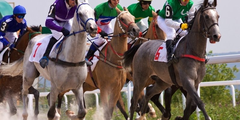 Cá cược đua ngựa K89BET