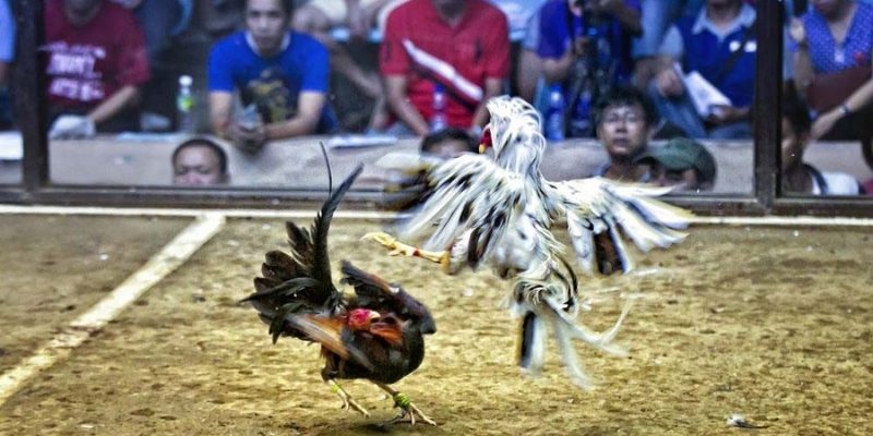 Giữ vững tâm lý phải luôn ổn định
