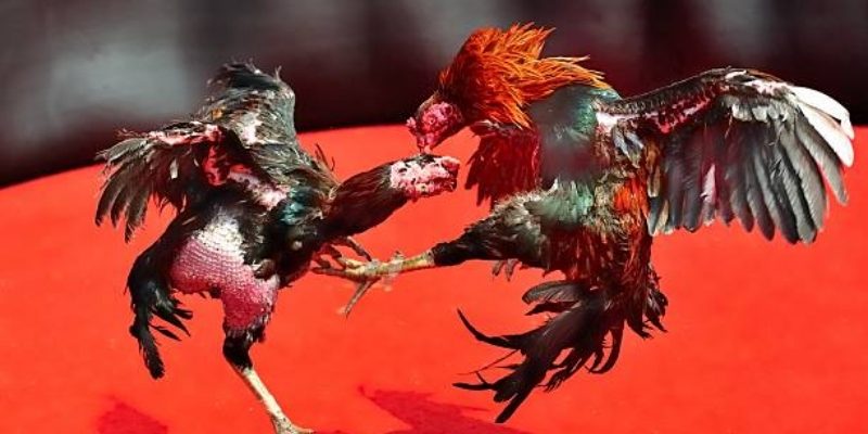 Quy định xử lý khi có yêu cầu